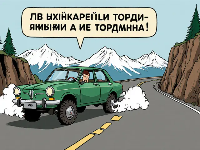 Вождение в горах: как правильно использовать торможение двигателем и выбрать передачу