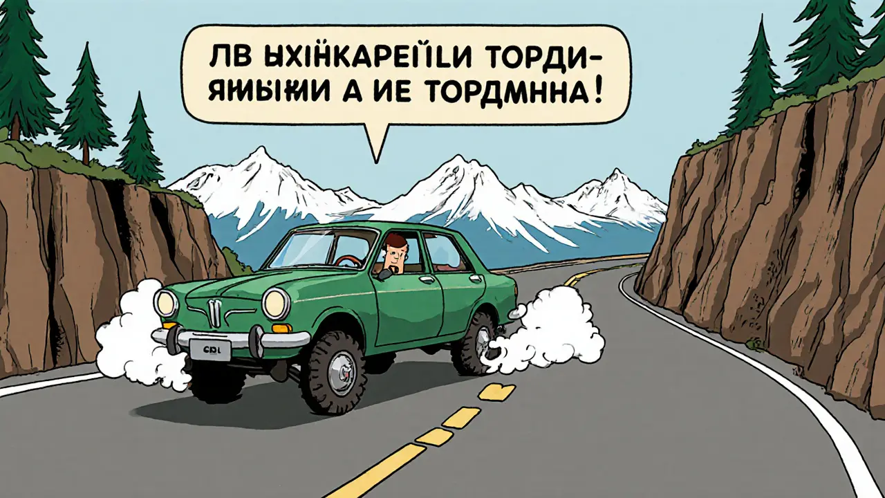 /vozdenie-v-gorah-kak-pravil-no-ispol-zovat-tormozenie-dvigatelem-i-vybrat-peredacu